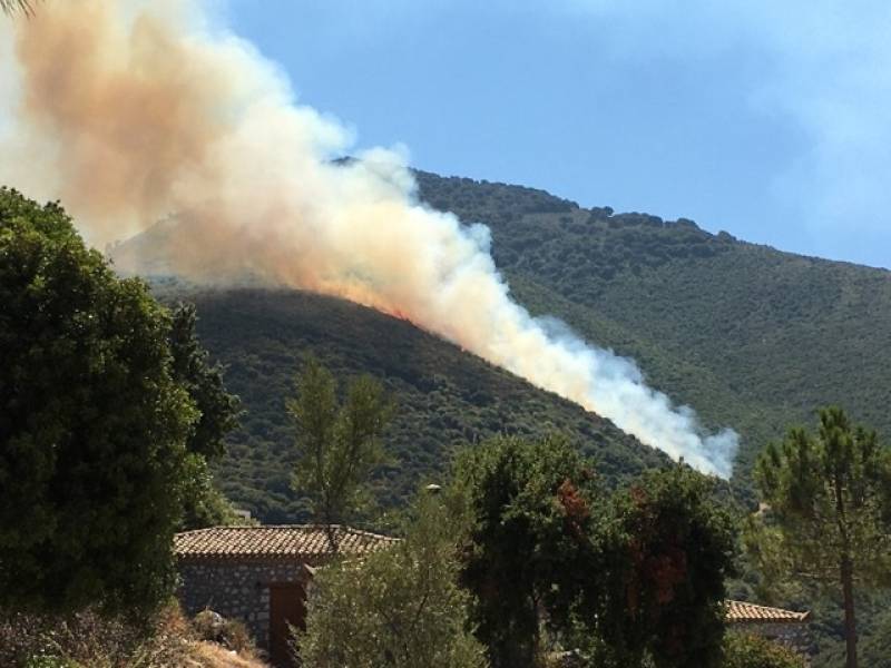 Πυρκαγιά στους Μπλεμενιάνους Μεσσίνας