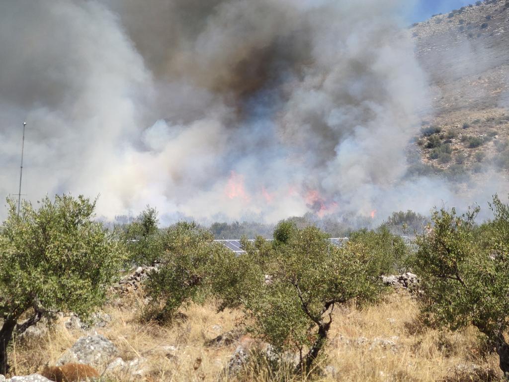 Πυρκαγιά τώρα έξω από τον Άγιο Νικών Μεσσηνία