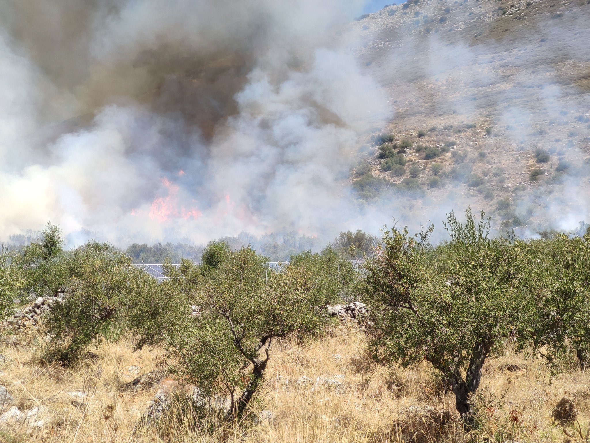 Πυρκαγιά τώρα έξω από τον Άγιο Νικών Μεσσηνία