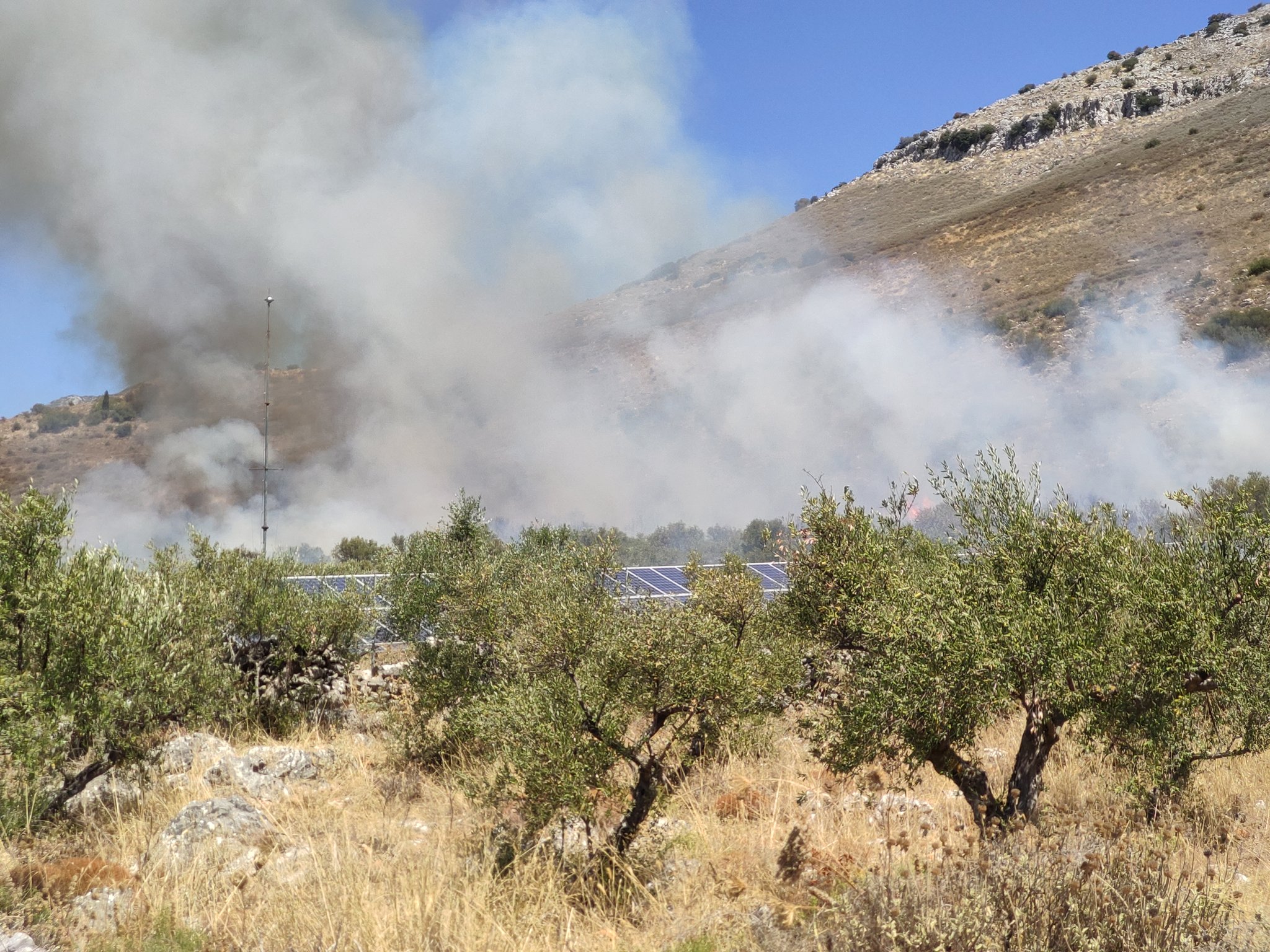 Πυρκαγιά τώρα έξω από τον Άγιο Νικών Μεσσηνία