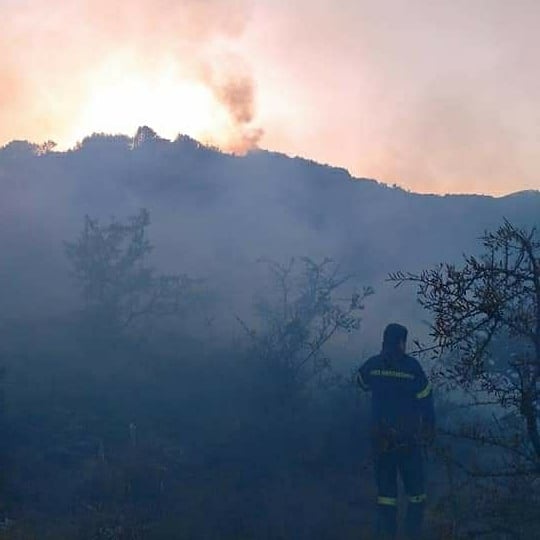 Πυρκαγιά στο Μιχόι Αχαίας