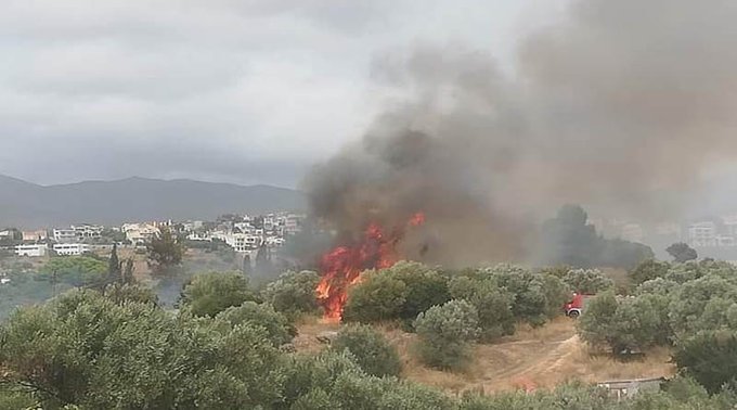 Πυρκαγιά στην Παλλήνη - Άμεση ήταν η κινητοποίηση της Πυροσβεστικής