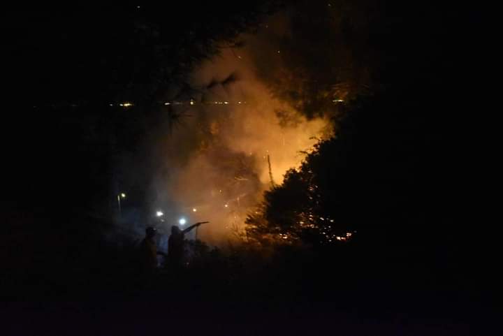 Πυρκαγιά σε δασική έκταση στην περιοχή βαγιας στην Αίγινα.(φωτο)