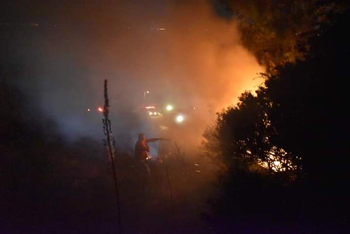 Πυρκαγιά σε δασική έκταση στην περιοχή βαγιας στην Αίγινα.(φωτο)