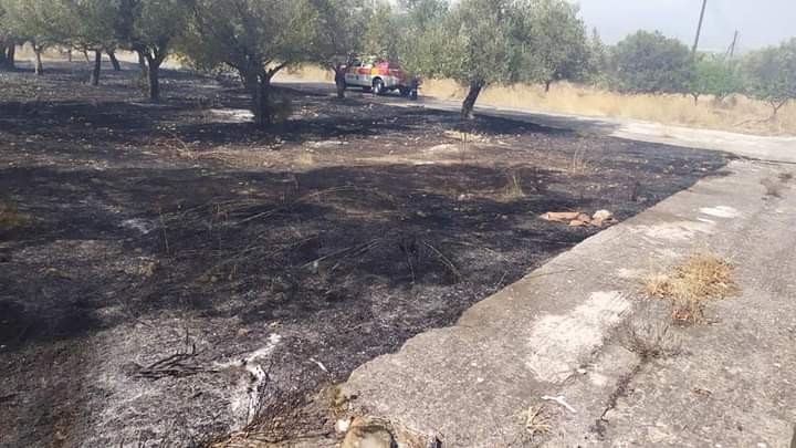 Πυρκαγιά εκδηλώθηκε πριν από λίγο στην περιοχή Μαρκοπούλου- Κουβαρά.(φωτο)