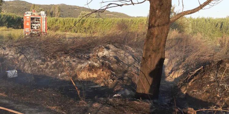 Κινητοποίηση της Πυροσβεστικής για φωτιά στον Δρυμό Βόνιτσας (φωτο)