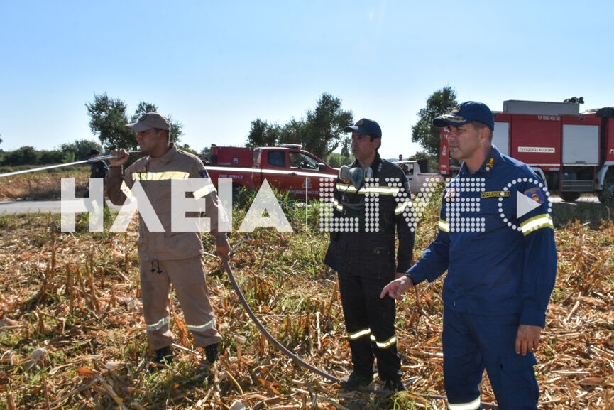 Ηλεια:δήμητρα πηνειού η Πυρκαγιά έκαψε δέκα στρέμματα αγροτικών εκτάσεων