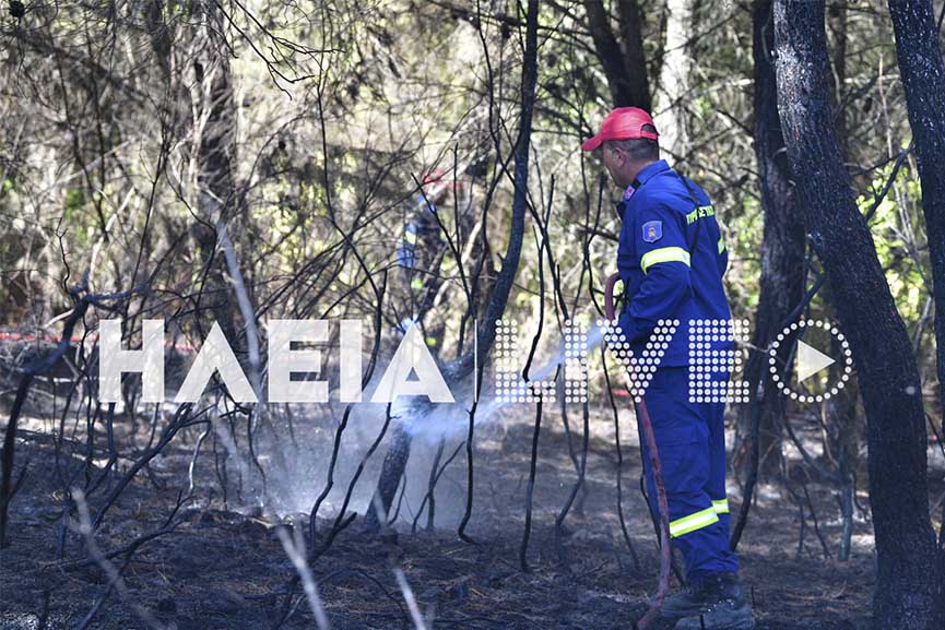 Ξηρόκαμπος Αρχ. Ολυμπίας: Οριοθετήθηκε η πυρκαγιά σε δασική έκταση