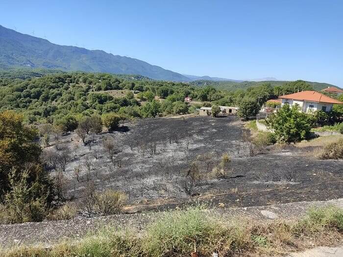 Οι φλόγες… άγγιξαν τα σπίτια στον Καταρράκτη.. Υπό έλεγχο η πυρκαγιά(φωτο)