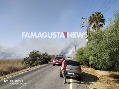 ΑΥΓΟΡΟΥ: Πυρκαγιά αναστάτωσε τους κατοίκους (ΒΙΝΤΕΟ+ΕΙΚΟΝΕΣ)