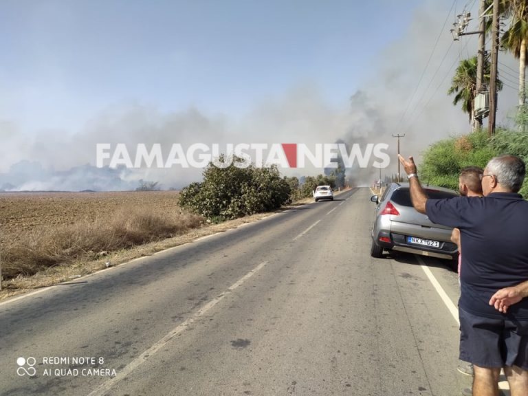 ΑΥΓΟΡΟΥ: Πυρκαγιά αναστάτωσε τους κατοίκους (ΒΙΝΤΕΟ+ΕΙΚΟΝΕΣ)