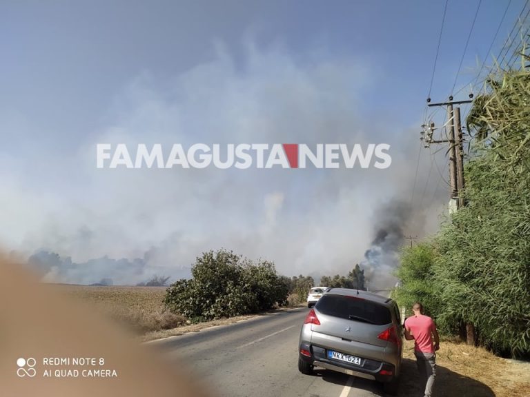 ΑΥΓΟΡΟΥ: Πυρκαγιά αναστάτωσε τους κατοίκους (ΒΙΝΤΕΟ+ΕΙΚΟΝΕΣ)