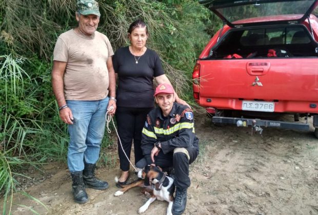 Δυτική Ελλάδα: Έσωσαν κυνηγόσκυλο από χαράδρα 100 μέτρων! Με τη συμβολή της ΕΜΑΚ Πάτρας