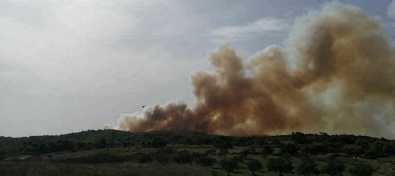 Πυρκαγιά σε δασική έκταση στην περιοχή Βολίμες Ζακύνθου