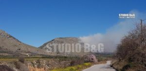 Πυρκαγιά στην περιοχή του Αμαριανού Αργολίδας