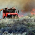 Φωτιά στο Πήλιο – Κινητοποίηση της Πυροσβεστικής