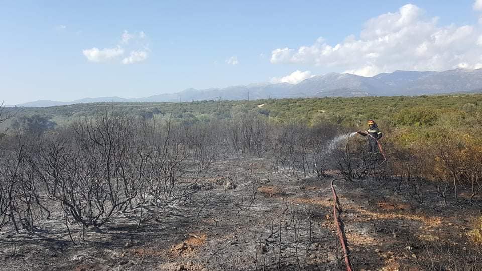 Πυρκαγιά στις Γούβες Λακωνίας