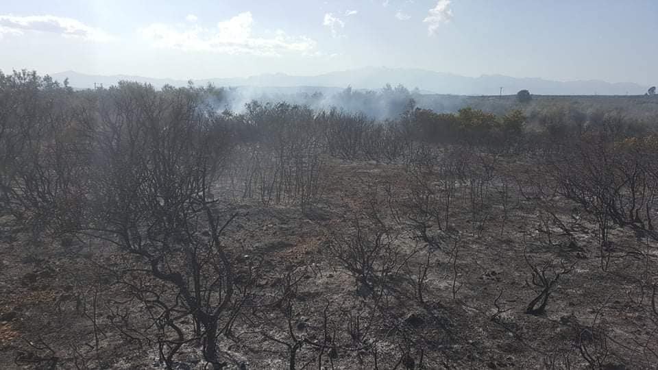 Πυρκαγιά στις Γούβες Λακωνίας