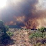 Συλλήψεις δύο ατόμων ως υπαίτιων πρόκλησης εμπρησμού από αμέλεια στην Λακωνία και στα Κύθηρα