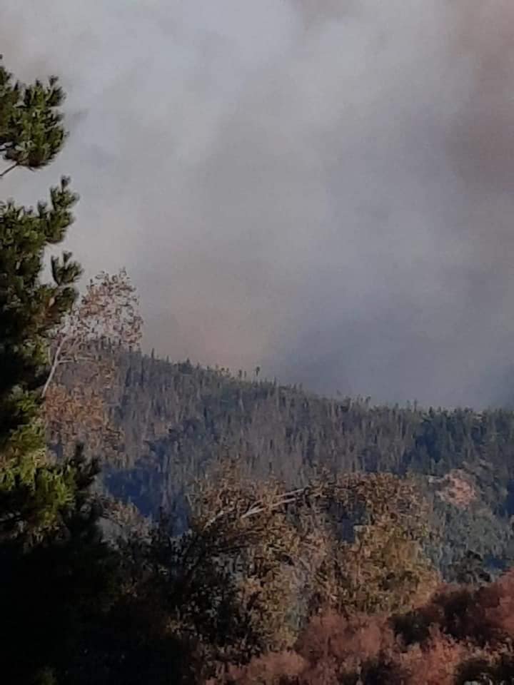 Μεγάλη πυρκαγιά στην περιοχή licantén της Χιλής