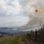 Πυρκαγιά στην Μεγαλόπολη Αρκαδίας