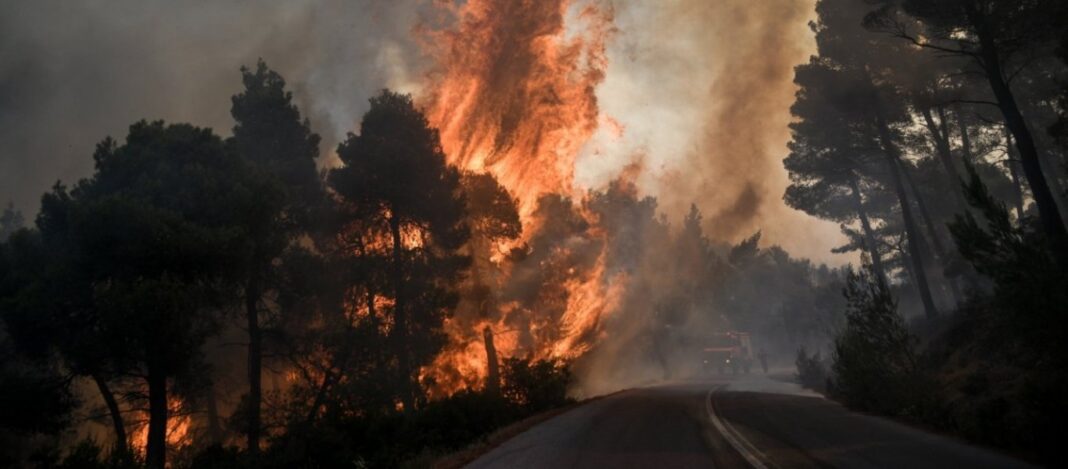 Τώρα: Πυρκαγιά σε δασική περιοχή στους Χωροεπισκόπους Κέρκυρας