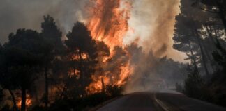 Τώρα: Πυρκαγιά σε δασική περιοχή στους Χωροεπισκόπους Κέρκυρας