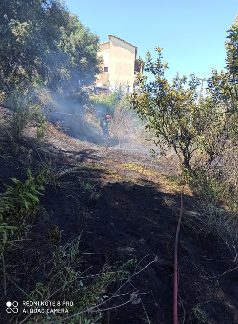 Πυρκαγιά στην περιοχή του Πέλεκα Κέρκυρας