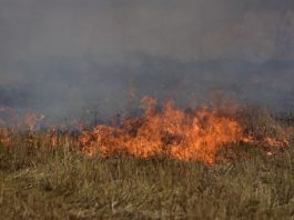 Πυρκαγιά σε ξερά χόρτα στο Ωραιόκαστρο Θεσσαλονίκη