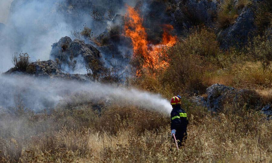 Πυρκαγιά κοντά στον Ηλεκτροπαραγωγικό Σταθμό Βασιλικού