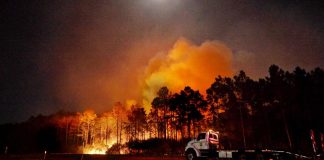Μεγάλης έκτασης πυρκαγιές καίνε στη Φλόριντα