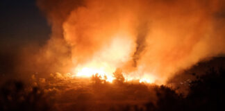 Σε εξέλιξη πυρκαγιά σε οικόπεδα πίσω από το Ολυμπιακό Στάδιο Πάλης στα Άνω Λιόσια