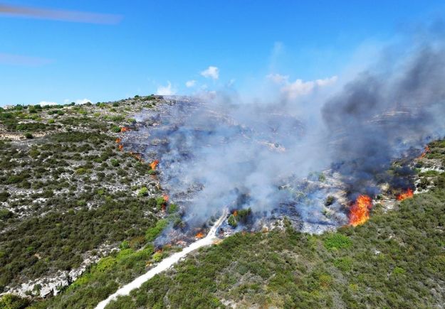 Κυπρος: Υπό έλεγχο δασική πυρκαγιά στην Κλήρου