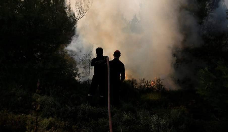 Κρέστενα: Πυρκαγιά σε δάσος επί της Πύργου - Κυπαρισσίας