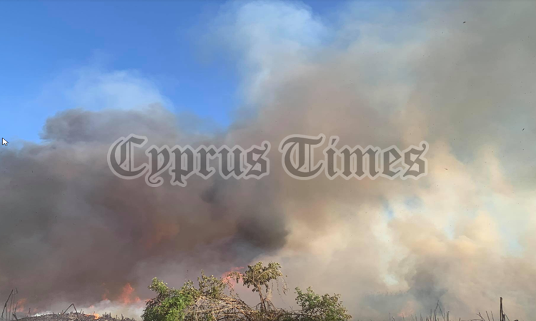 Σε εξέλιξη μεγάλη πυρκαγιά στην Λάρνακα