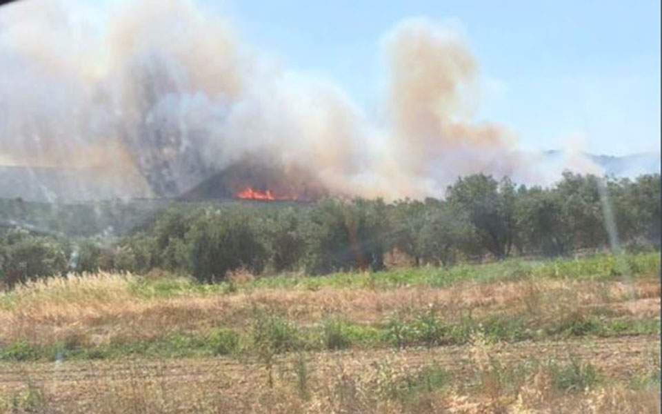 Πυρκαγιά στη Μούτελη Ηλείας