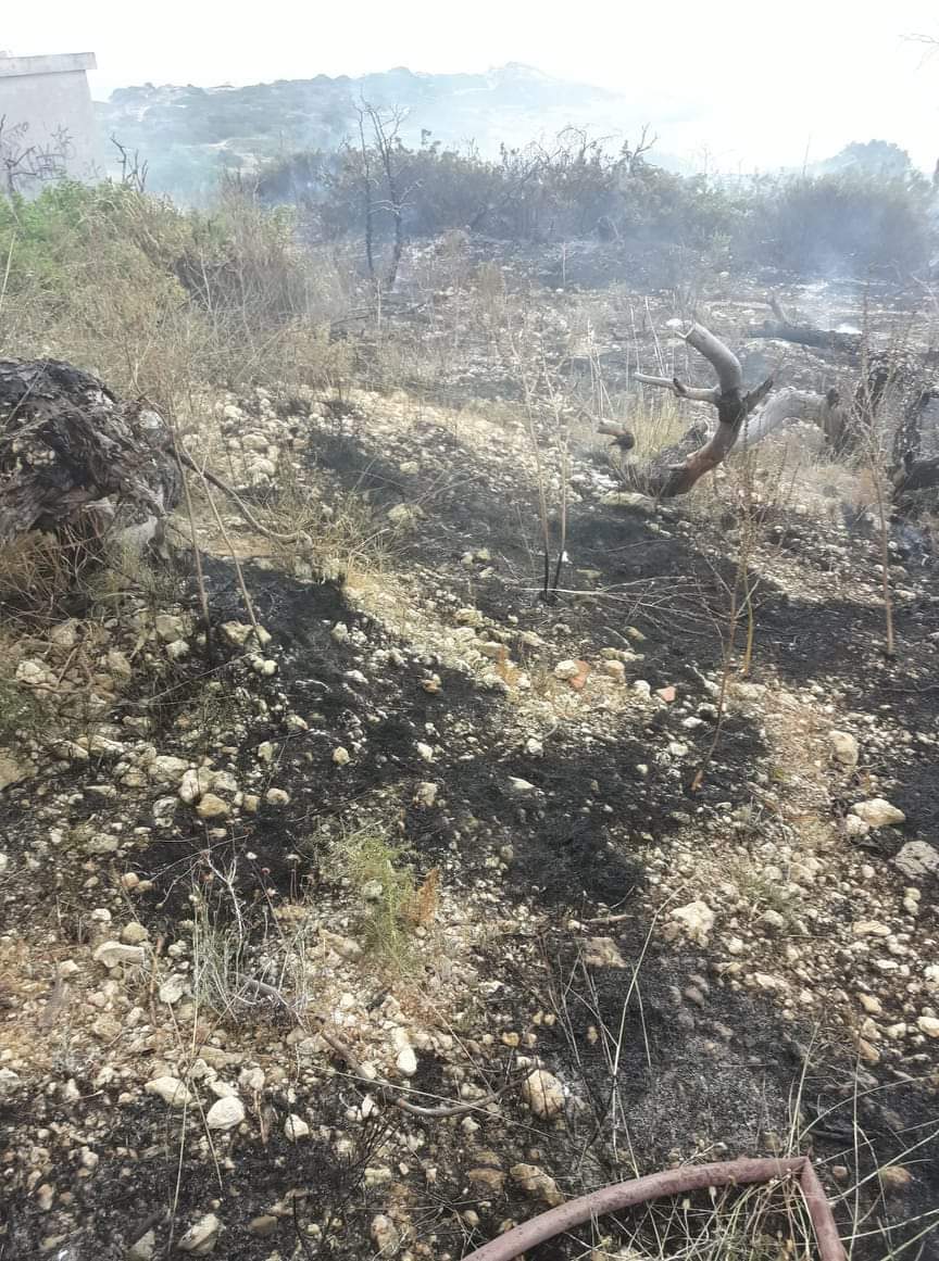 Αποκλειστικό φωτογραφικό υλικό από την πυρκαγιά πίσω από το ΠΙΚΠΑ Βούλας