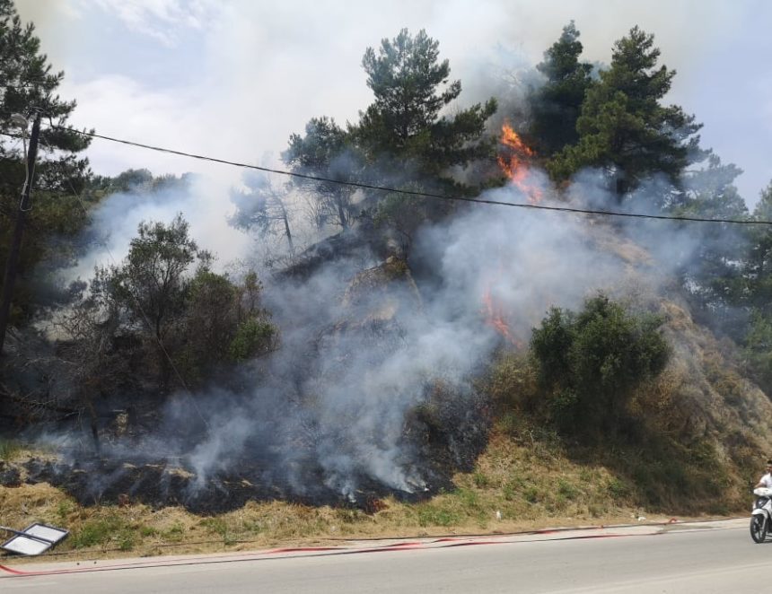 Πυρκαγιά στον Άγιο Σπυρίδων στο Αργάσι Ζακύνθου