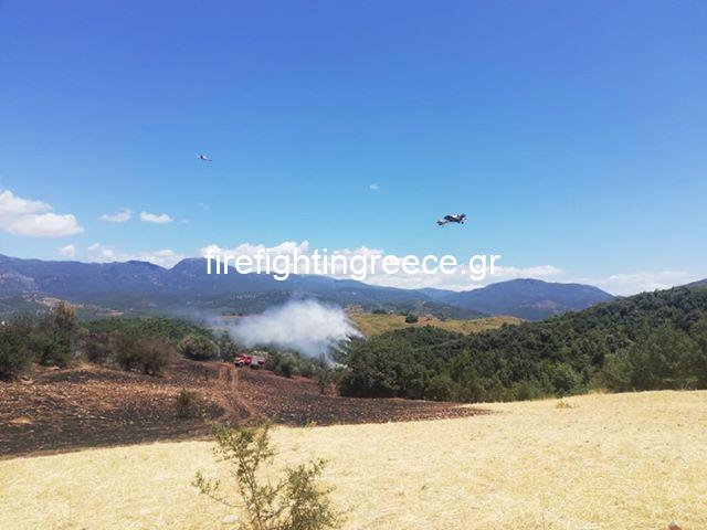 Φωτογραφικό υλικό απο την πυρκαγιά στην Ηλεία - Αποκλειστικές φωτογραφίες