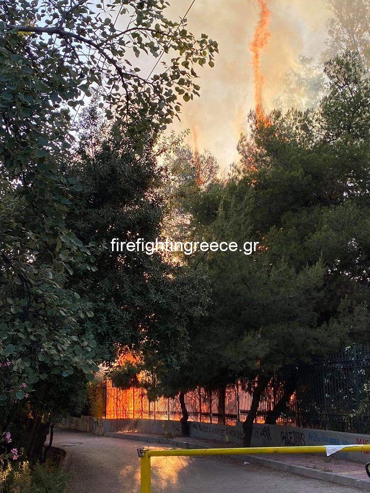 Πυρκαγιά εν ύπαιθρω εντός του πάρκου στο Γουδή Αττικής