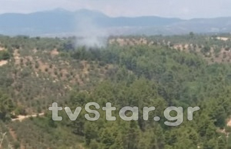 Πυρκαγιά μεταξύ Αμφιθέας και Πούρνου στην Εύβοια