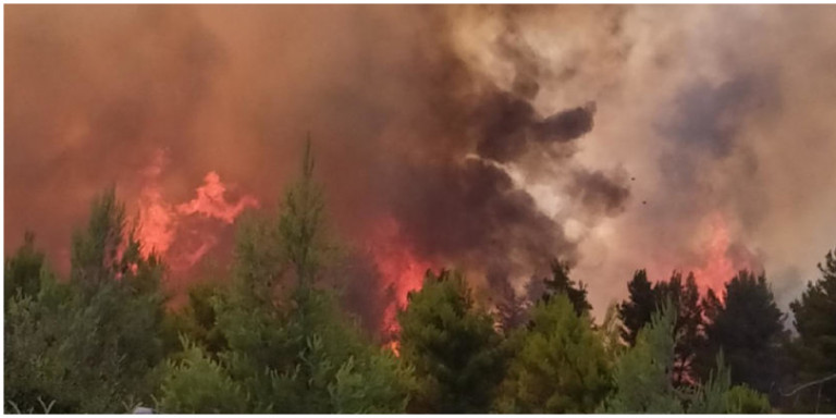 Υπό έλεγχο η φωτιά στο Μαρτίνο: Ανοιξε η Αθηνών-Λαμίας, ξεκινούν έρευνες για εμπρησμό