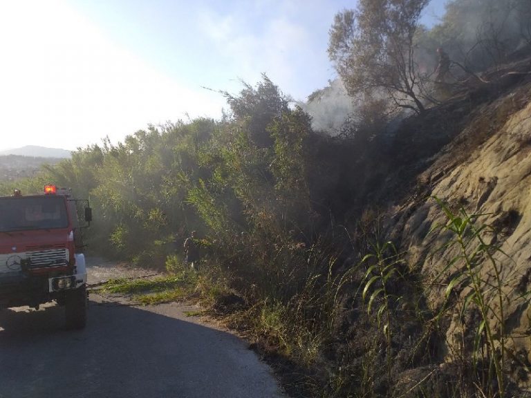 Ζακυνθος: Άμεση επέμβαση της Πυροσβεστικής σε πυρκαγιά στην Παναγούλα