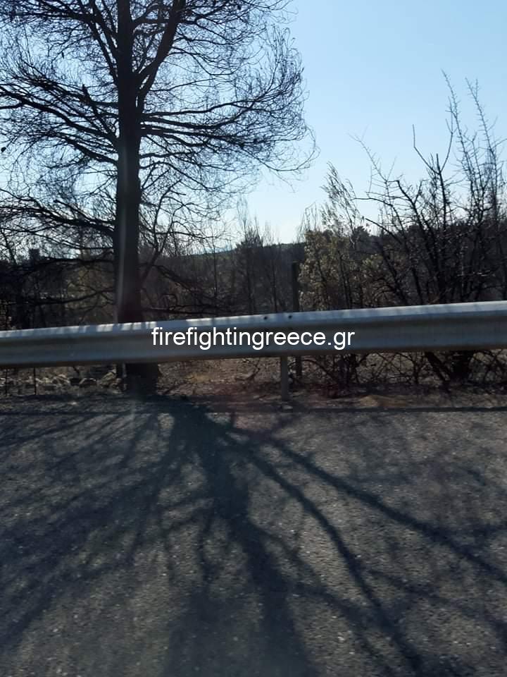 Αποκλειστικές φωτογραφίες από το Fire Fighting Greece από την πυρκαγιά στον Μαρτίνο
