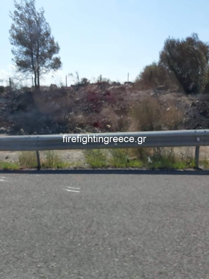 Αποκλειστικές φωτογραφίες από το Fire Fighting Greece από την πυρκαγιά στον Μαρτίνο