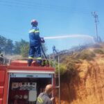 Πυροσβεστική: 43 δασικές πυρκαγιές εκδηλώθηκαν το τελευταίο 24ωρο