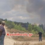 ΤΩΡΑ: Συναγερμός στην Πυροσβεστική – Μεγάλη πυρκαγιά στο Ελληνοχώρι Κορινθίας