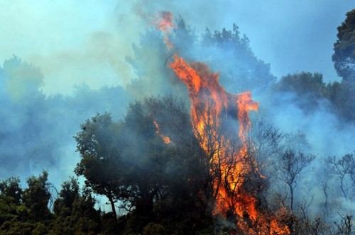 Πυρκαγιά σε χαμηλή βλάστηση στην περιοχή Ασπρόπυργου Αττικής