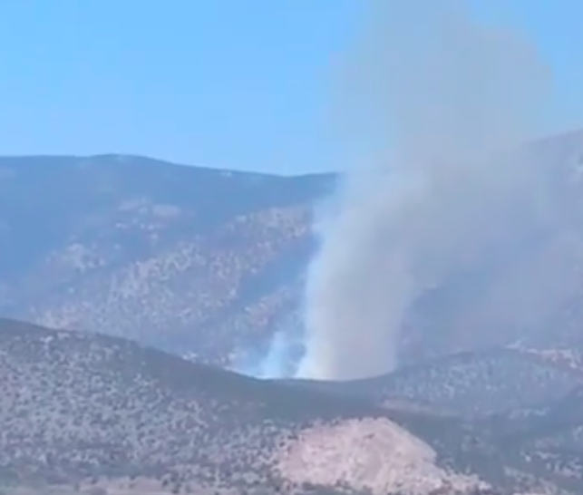 Πυρκαγιά τώρα στο Σαλάντι Αργολίδας (Βίντεο)
