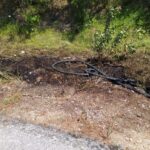Εύβοια:Πρόλαβαν πυρκαγιά στην είσοδο του χωριού του Αγίου Αθανασίου